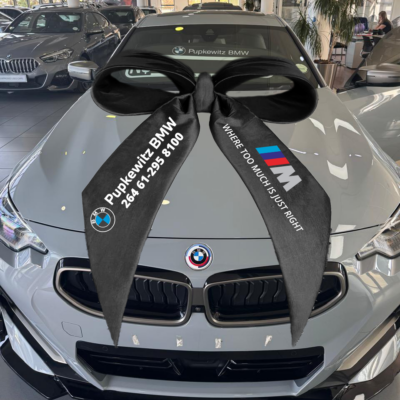 Gigantic Wow Car Bows (larger than life)