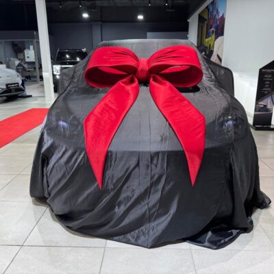 Car Cover - Satin Reveal